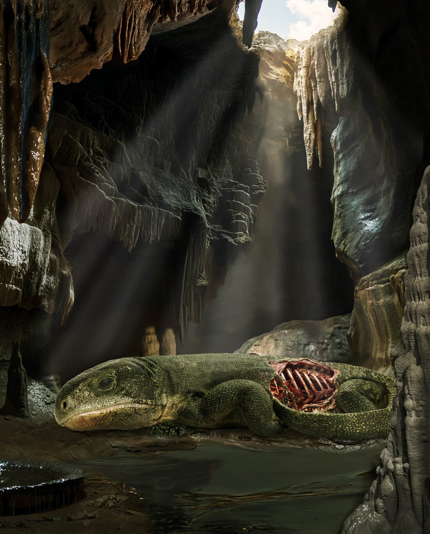 The 289-million-year-old reptile Captorhinus in its death pose in a cave system. Oil seepages, hyper-mineralized water, and fine clays in this cave made it an ideal environment for mummification and fossilization of soft tissues like skin, cartilage, and protein remnants.