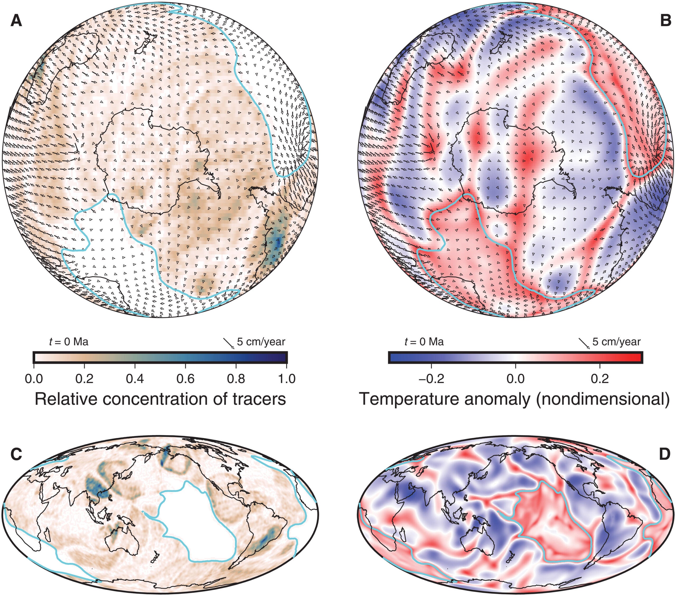 Distribution of subducted materials and temperature field along the CMB from geodynamic Model 1.