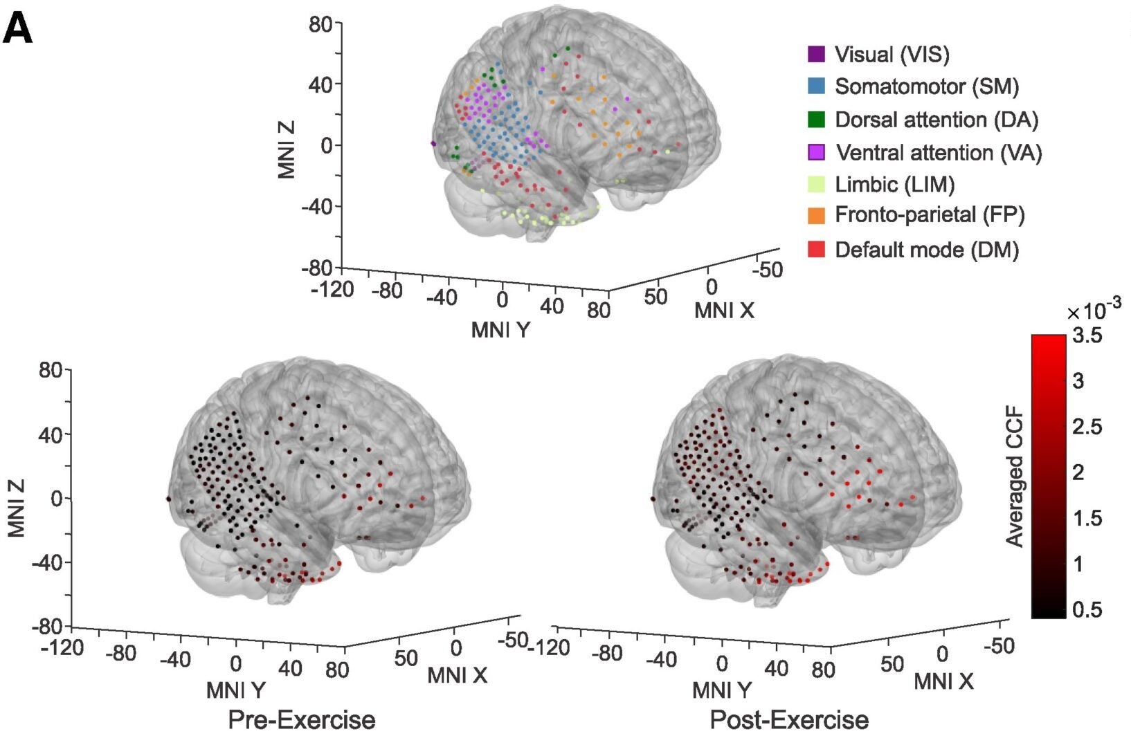 Hippocampal-cortical ripple statistical coupling in an exemplary subject. (A) Recording contacts’ distribution in the neocortex is classified into seven canonical networks according to their anatomical locations (top).