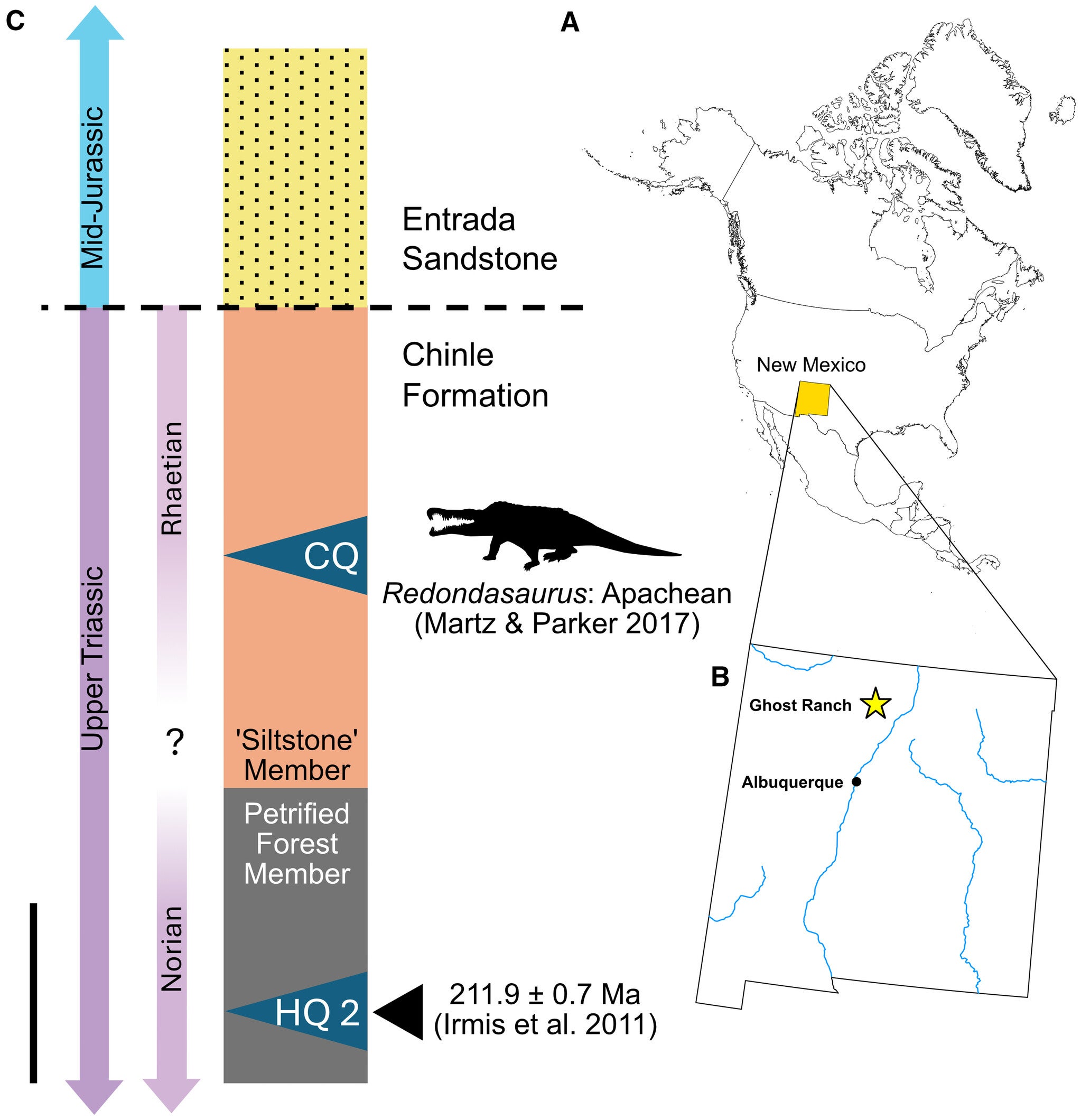 A, a map of North America highlighting New Mexico. B, a map of New Mexico, USA with a yellow star indicating the general location of Ghost Ranch. C, a simplified stratigraphic section of Ghost Ranch; the black triangle indicates a radioisotope-derived date, the black star indicates the source stratum for CM 31368, and the horizontal dashed line represents an unconformity.