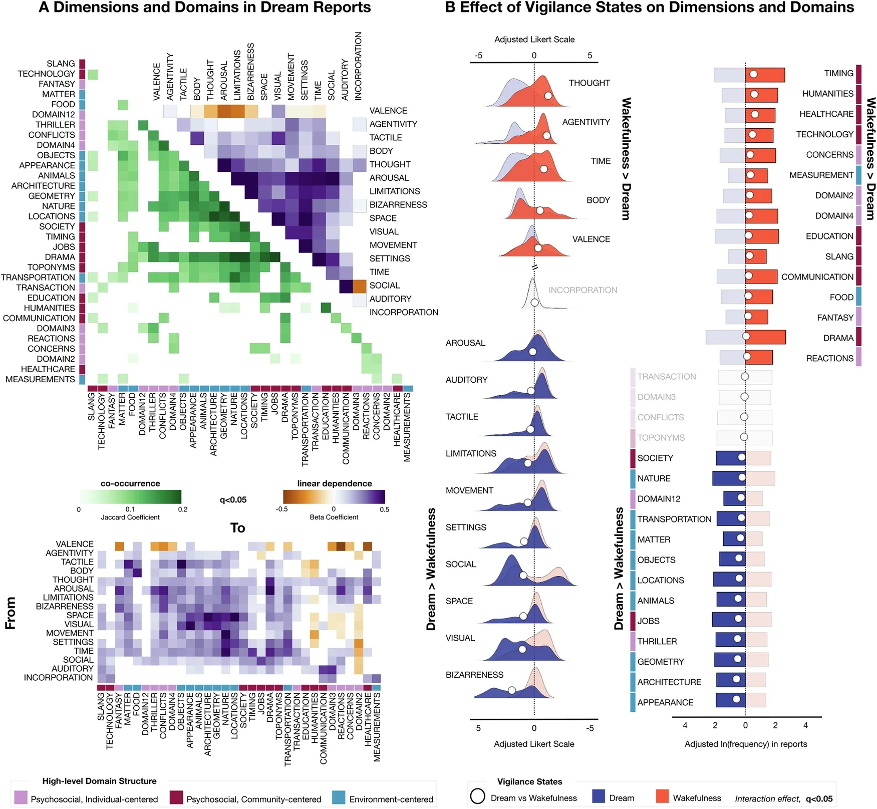 Content analysis of dream and wakefulness reports from the main dataset.