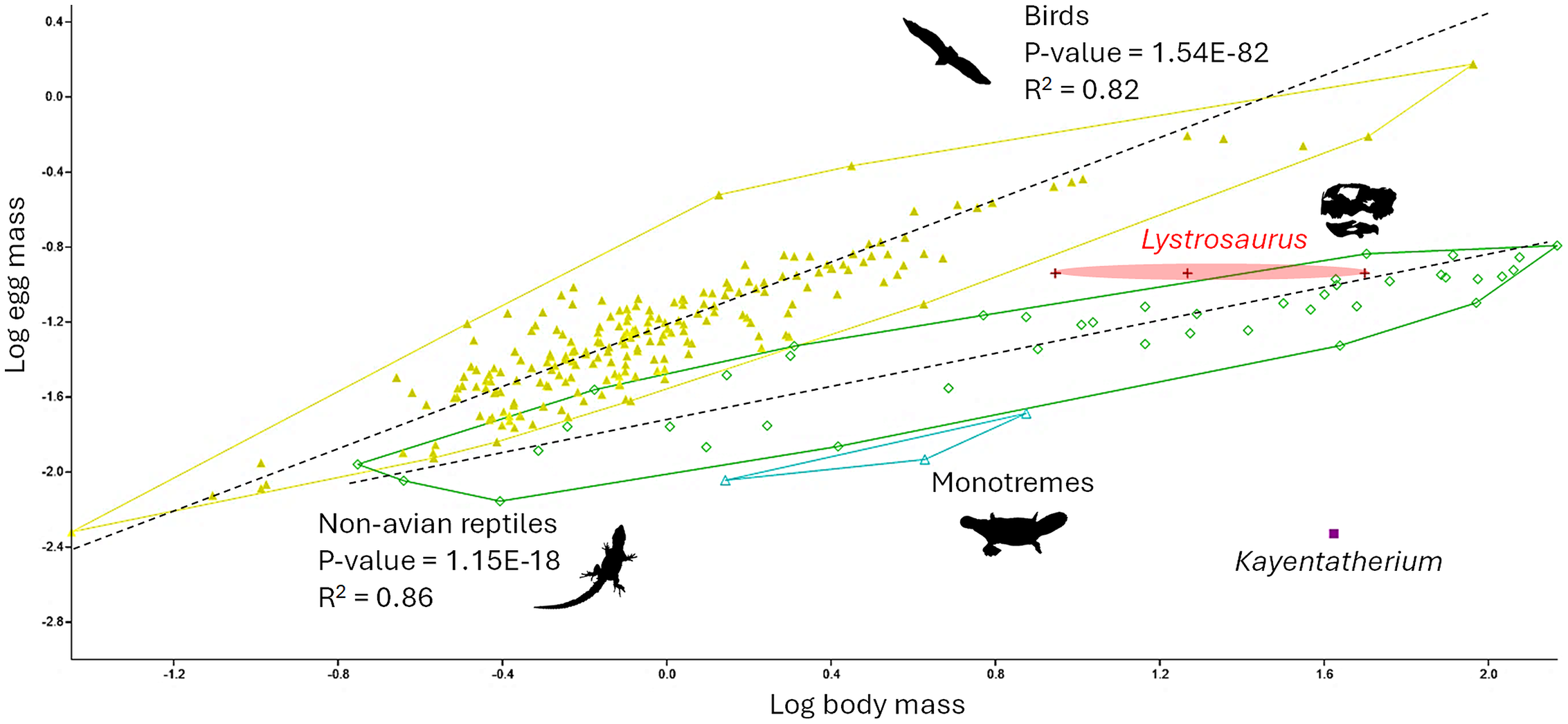 Plot of egg mass against body mass in amniotes (logged). Color code: red, Lystrosaurus; Purple, Kayentatherium; Yellow, birds; Green, non-avian reptiles.
