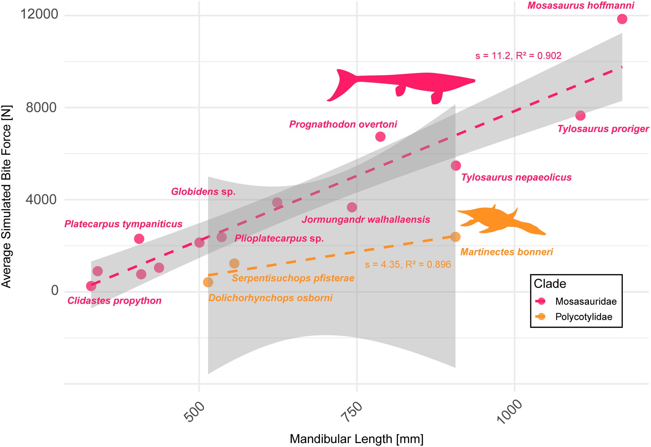 Average simulated bite force and respective mandibular length for mosasaurids and polycotylid plesiosaurians from the Western Interior Seaway. Modified silhouette image of Platecarpus tympaniticus