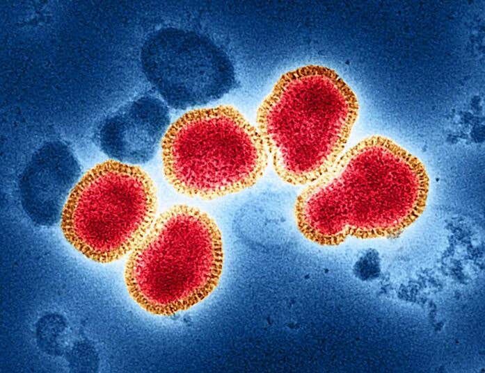 Dermcidin, a natural human peptide, may block flu infection and help explain why some people stay symptom-free.