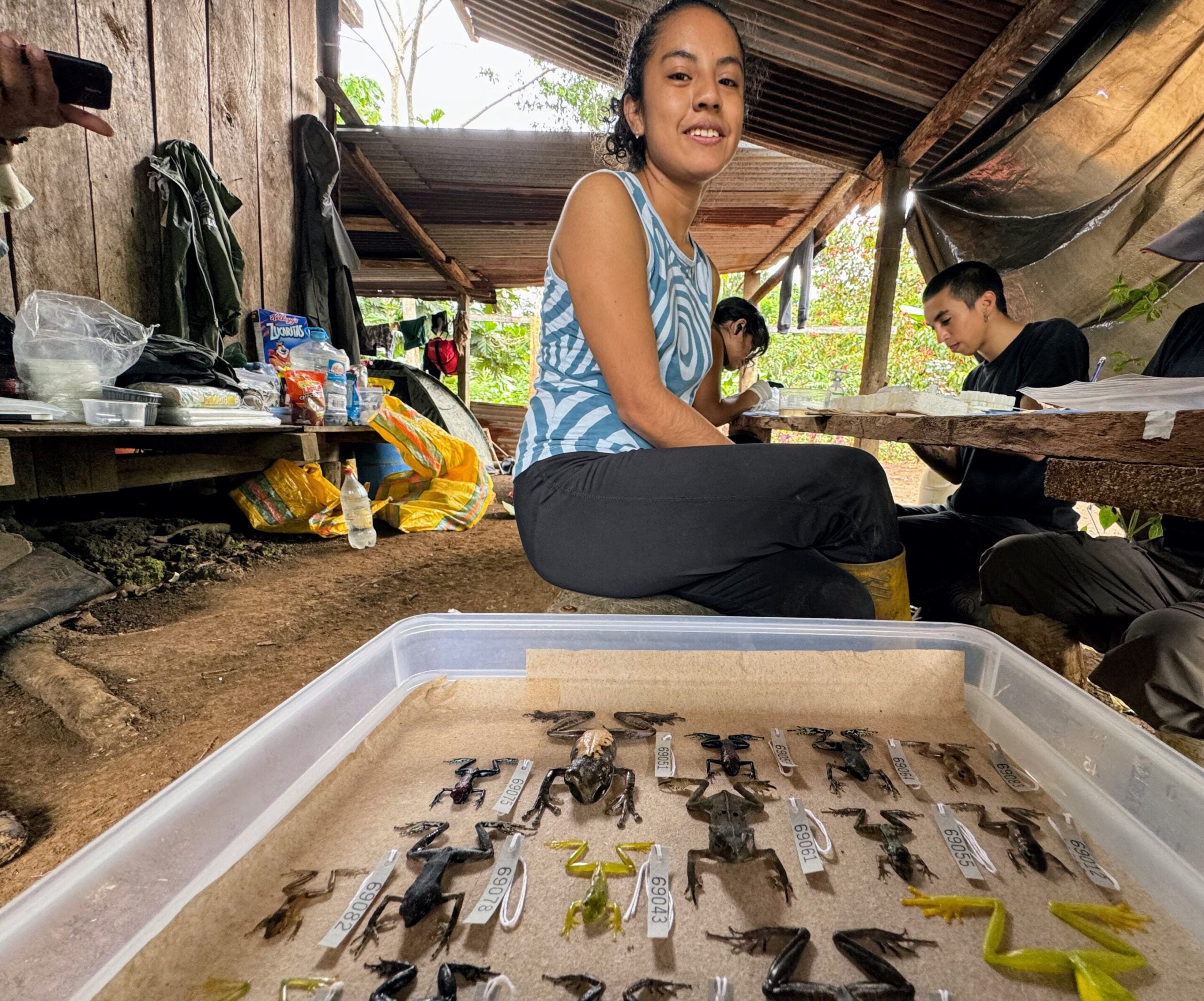 The new species was discovered at a place where many species were unknown to science, a biodiversity hidden world. 