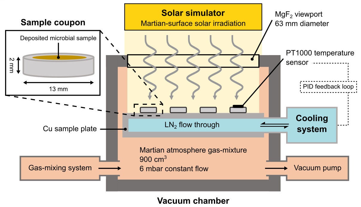 Configuration of the experimental Mars simulation chamber. Schematic representation of the experimental facilities used to expose samples deposited on aluminum coupons (inset) to SMC.