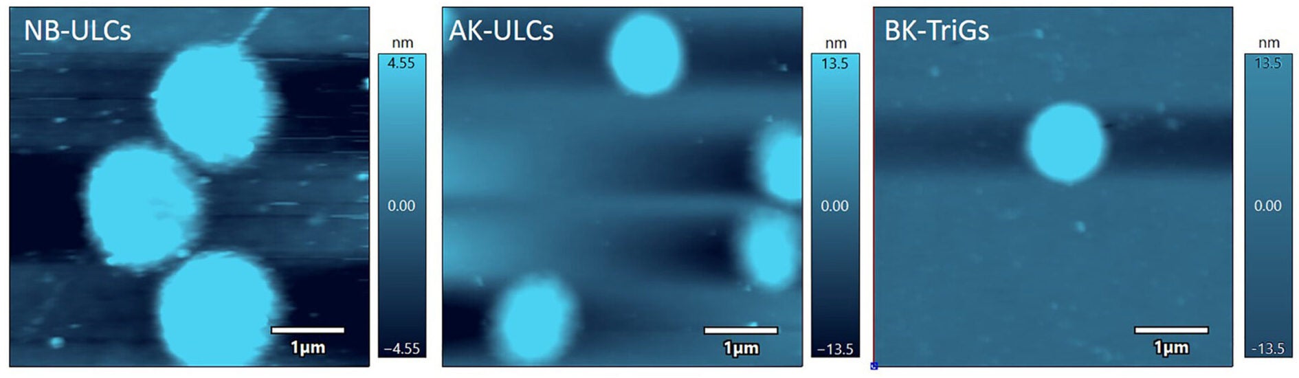 AFM images of NB-ULCs, AK-ULCs, and BK-TriGs, showing the distinct morphology and surface characteristics of each particle type.