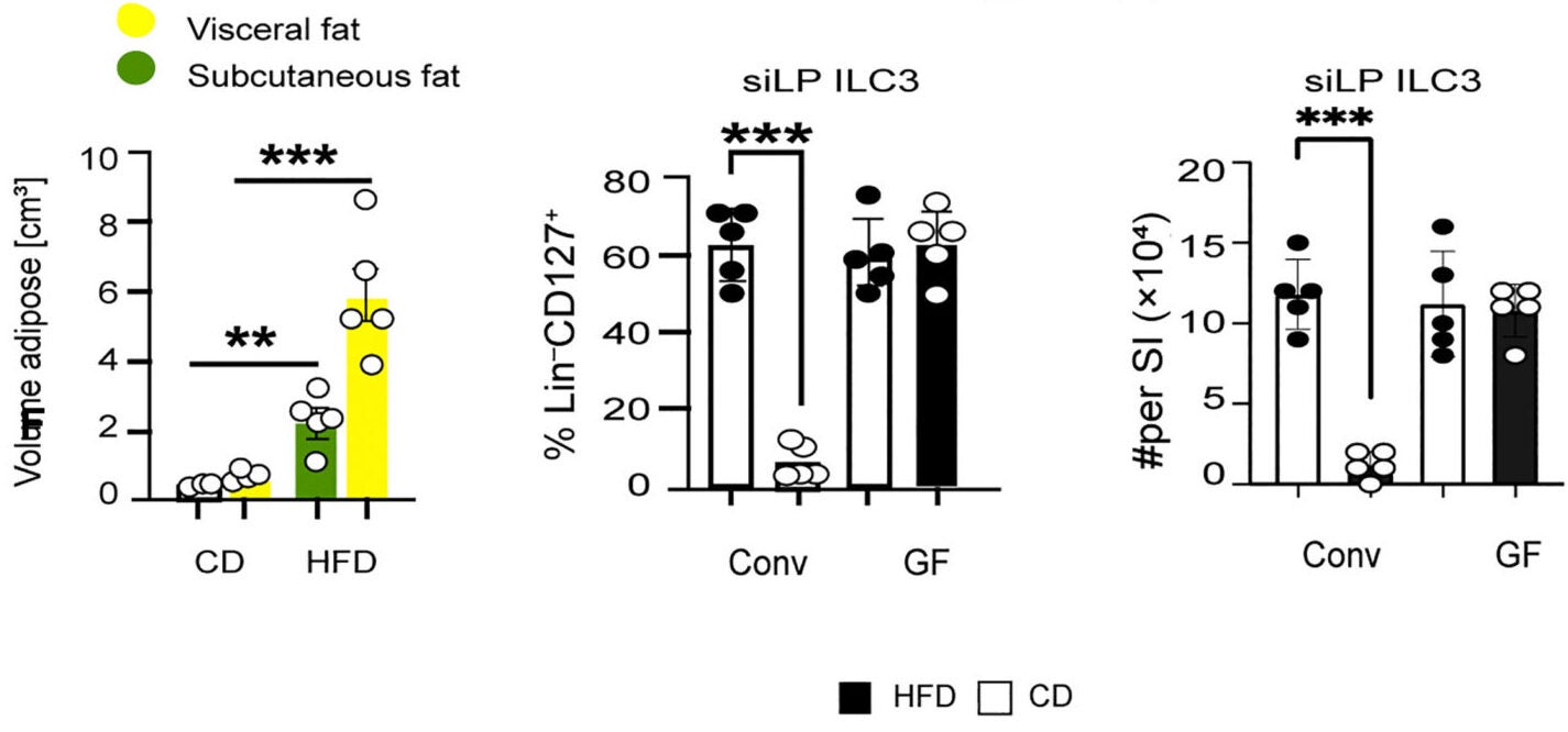 Frequency of ILC3s measured by flow cytometry in the siLP from GF and conventionalized mice by inoculating GF mice with cecal microbiota.