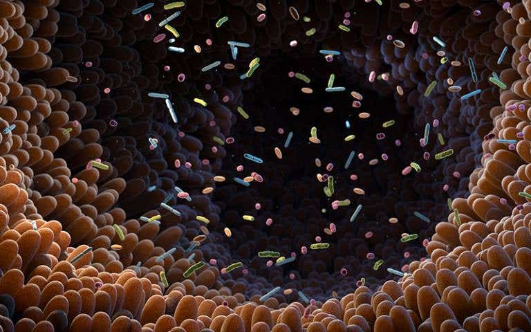 Gut microbes may reveal Parkinson’s risk years before symptoms, according to new research from UCL.