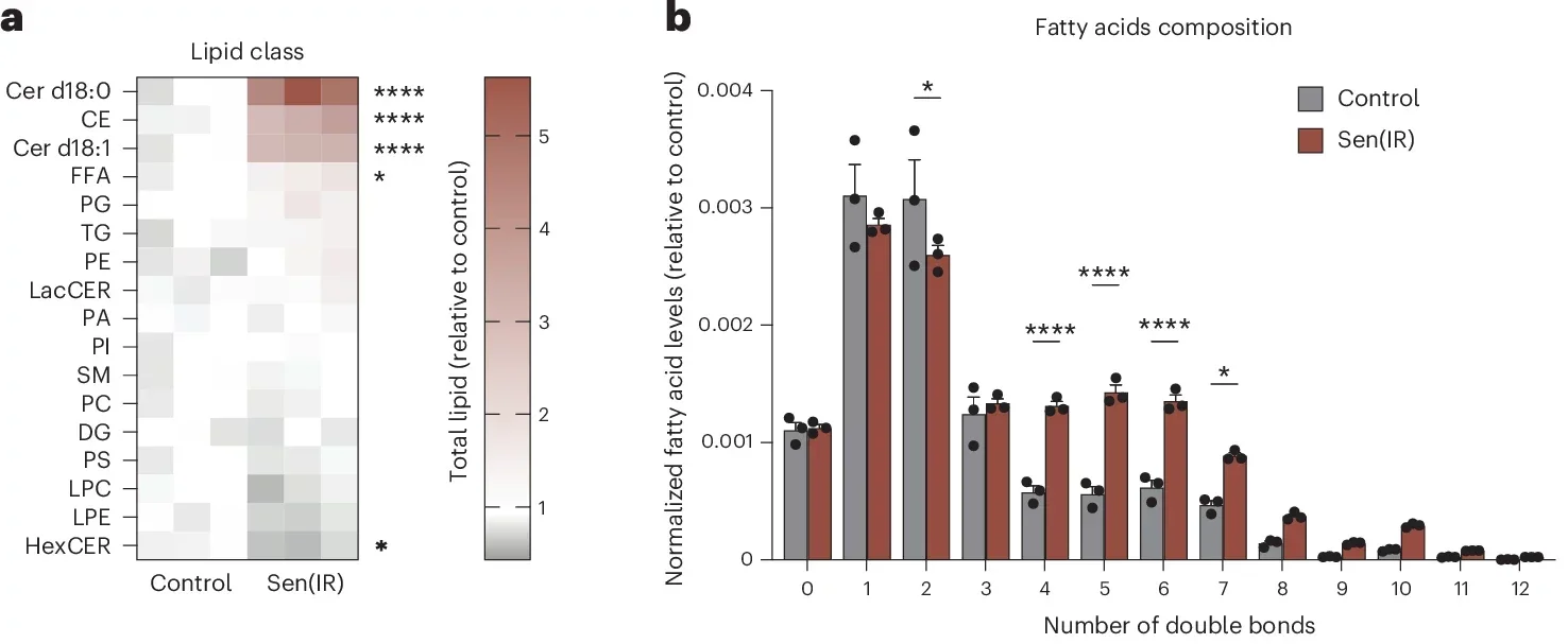 Excess cholesterol ester loading via Ac-LDL is a driver of macrophage senescence in vitro.