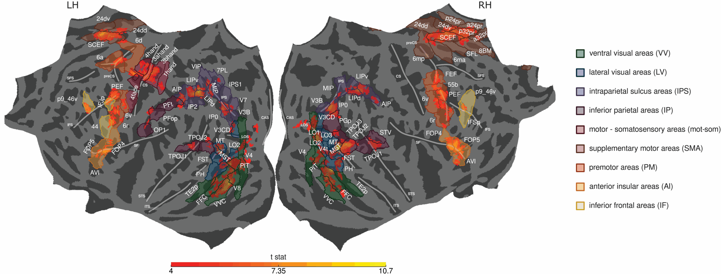 Regions of interest (ROIs) are displayed on a common (fsaverage) flattened cortical surface, overlaid on group-level t-value clusters obtained from a GLM analysis that identified cortical locations significantly activated at the offset of the 6 presented durations.