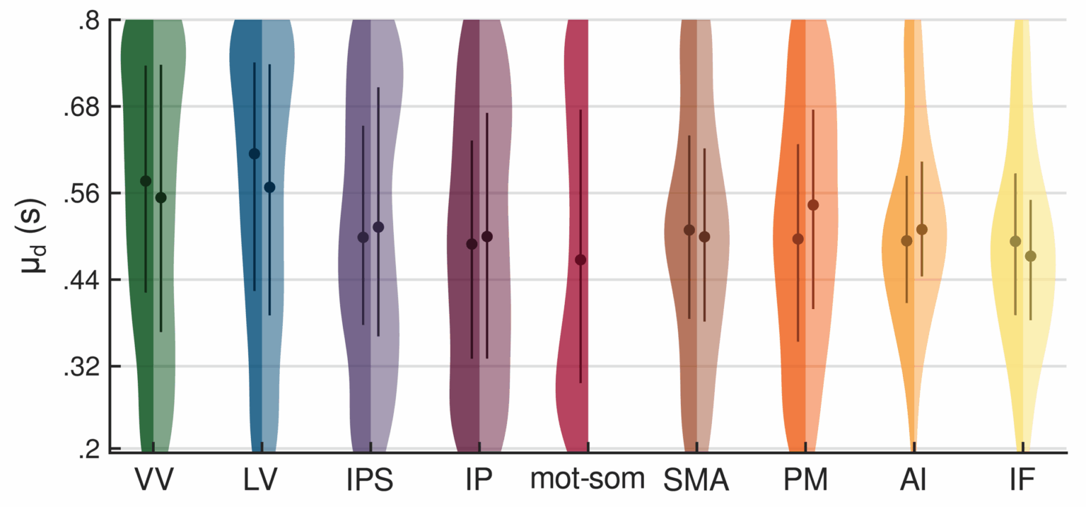 Each violin plot shows the vertex-wise distribution of duration preferences at group level across streams
