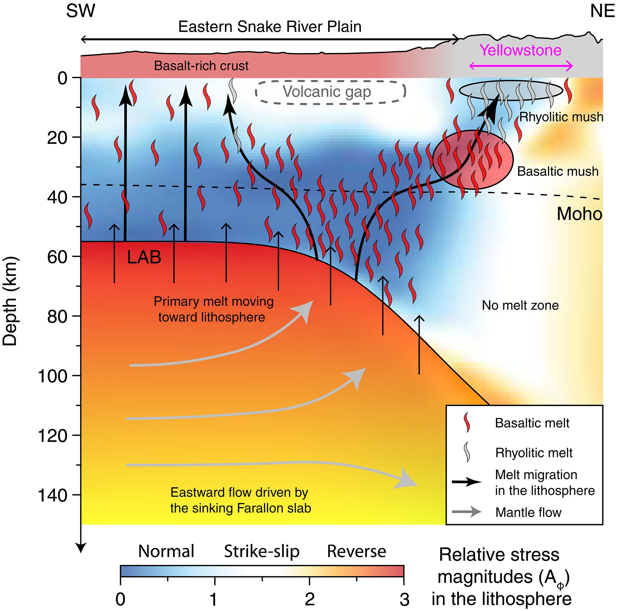 Cartoon showing Yellowstone’s present-day translithospheric magma plumbing system (TLMPS).