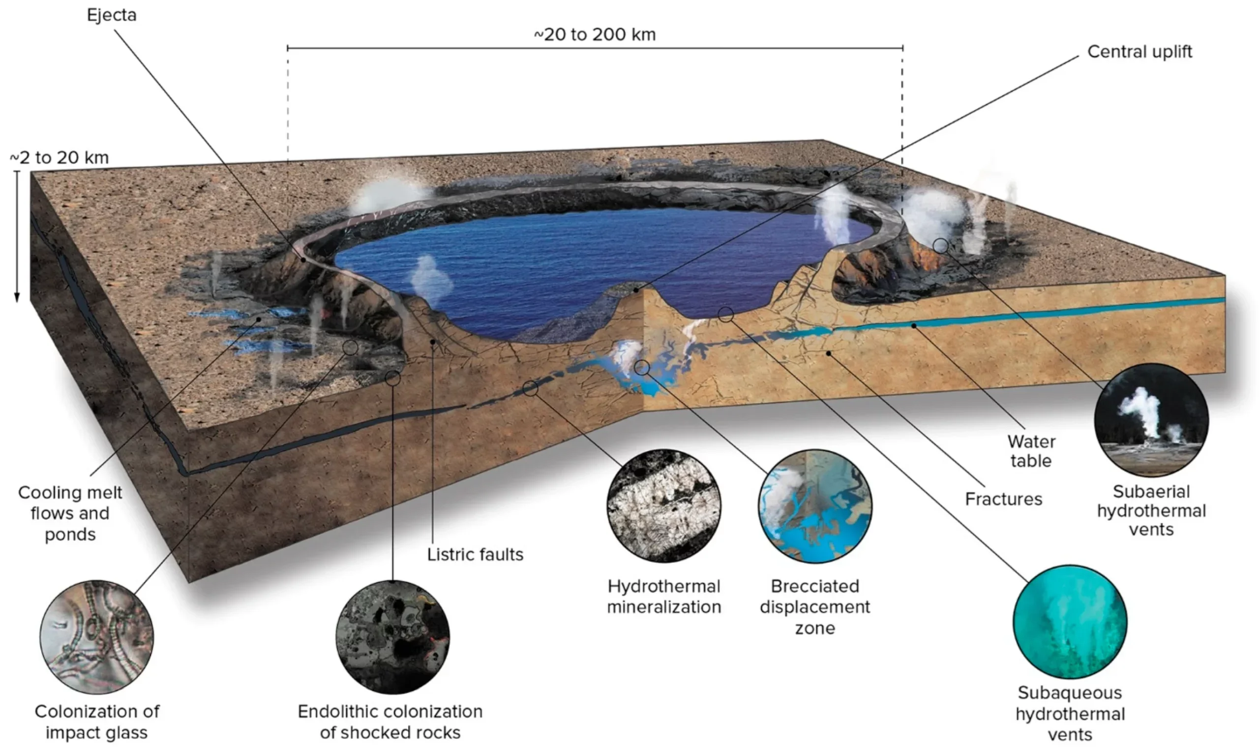 Diagram of the hydrothermal phase of an impact-generated hydrothermal vent system, characterized by the crater lake and the active hydrothermal vent system. Residual heat stored in the impact melt and residual geothermal energy, as well as what was generated from the shock of the impact, powers the hydrothermal system until the heat dissipates.