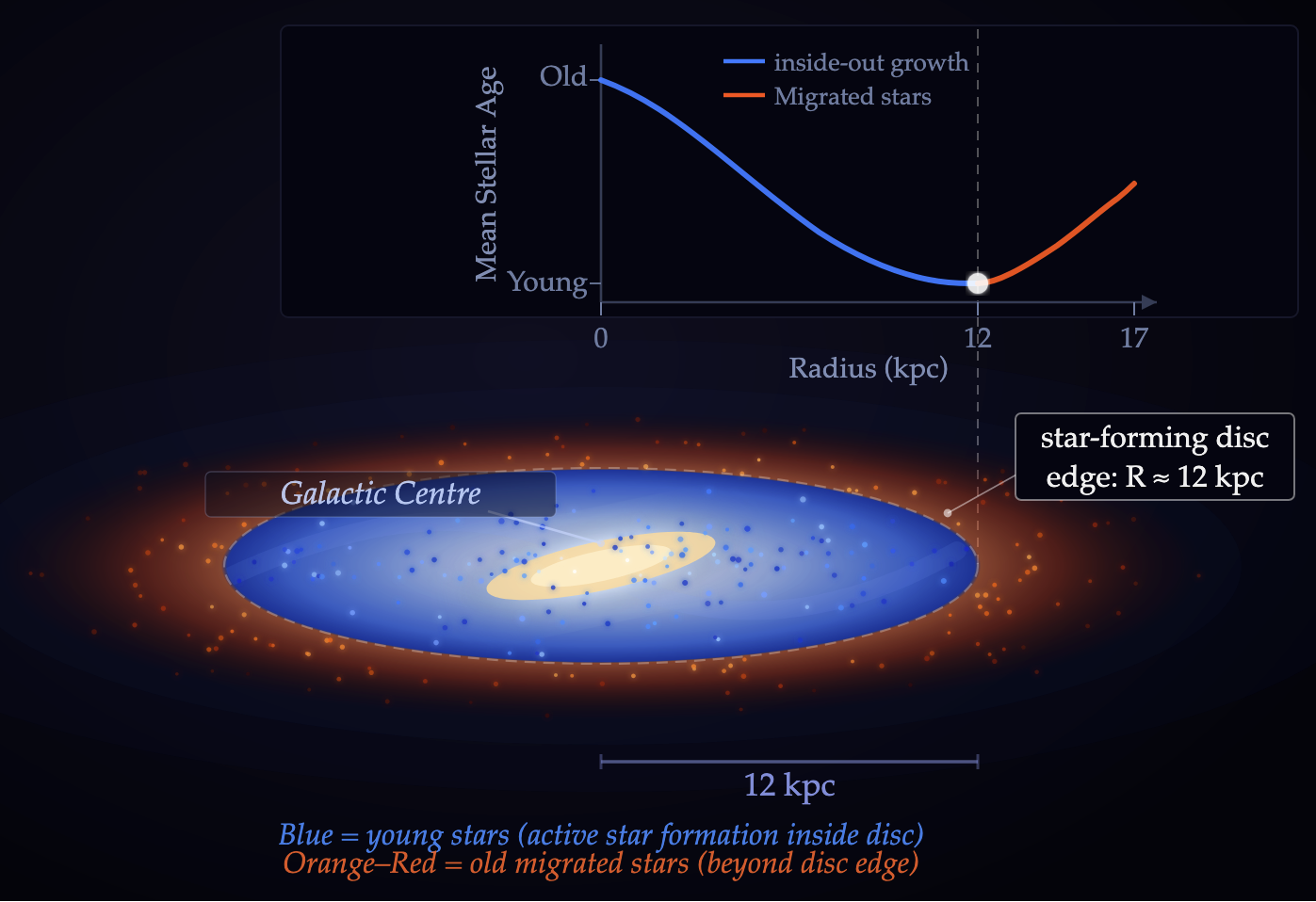 Inside the star-forming disc abundant cold gas fuels star formation, producing young stars. Beyond this break radius, star formation drops sharply. The outer regions are instead dominated by stars that formed in the inner disc and later migrated outward.