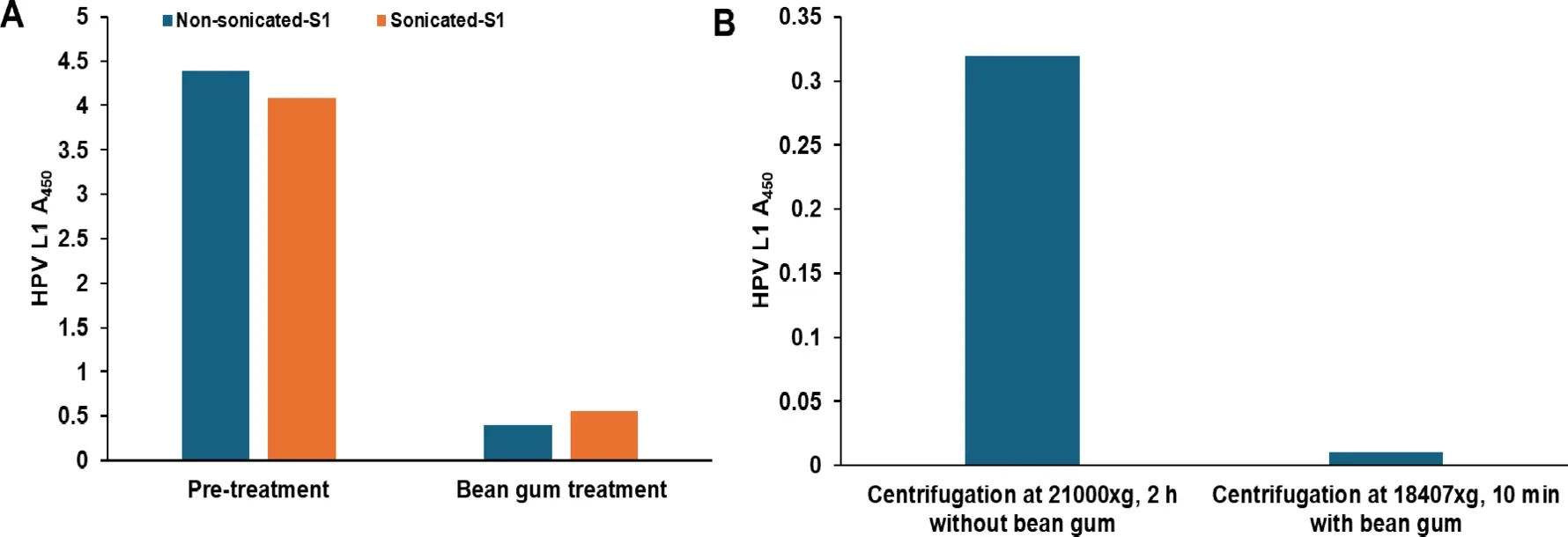 (A) Effect of sonication on the release of HPV in saliva sample of cancer patient S1 analyzed by ELISA. Sonication was done by using probe sonicator (2 cycles, 10 s on, 15 s off at 80% amplitude). (B) Effect of centrifugation to precipitate HPV of cancer patient oral rinse sample (O1) analyzed in the presence and absence of bean gum extract.