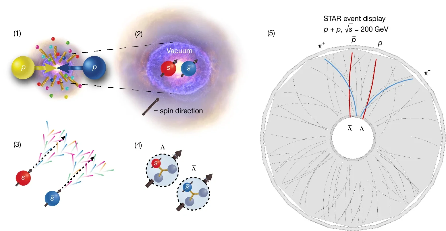 Illustration of tracing the QCD evolution of the spin of a strange quark–antiquark pair to a ΛΛ̄ hyperon pair and how it can be measured by the STAR experiment at RHIC.