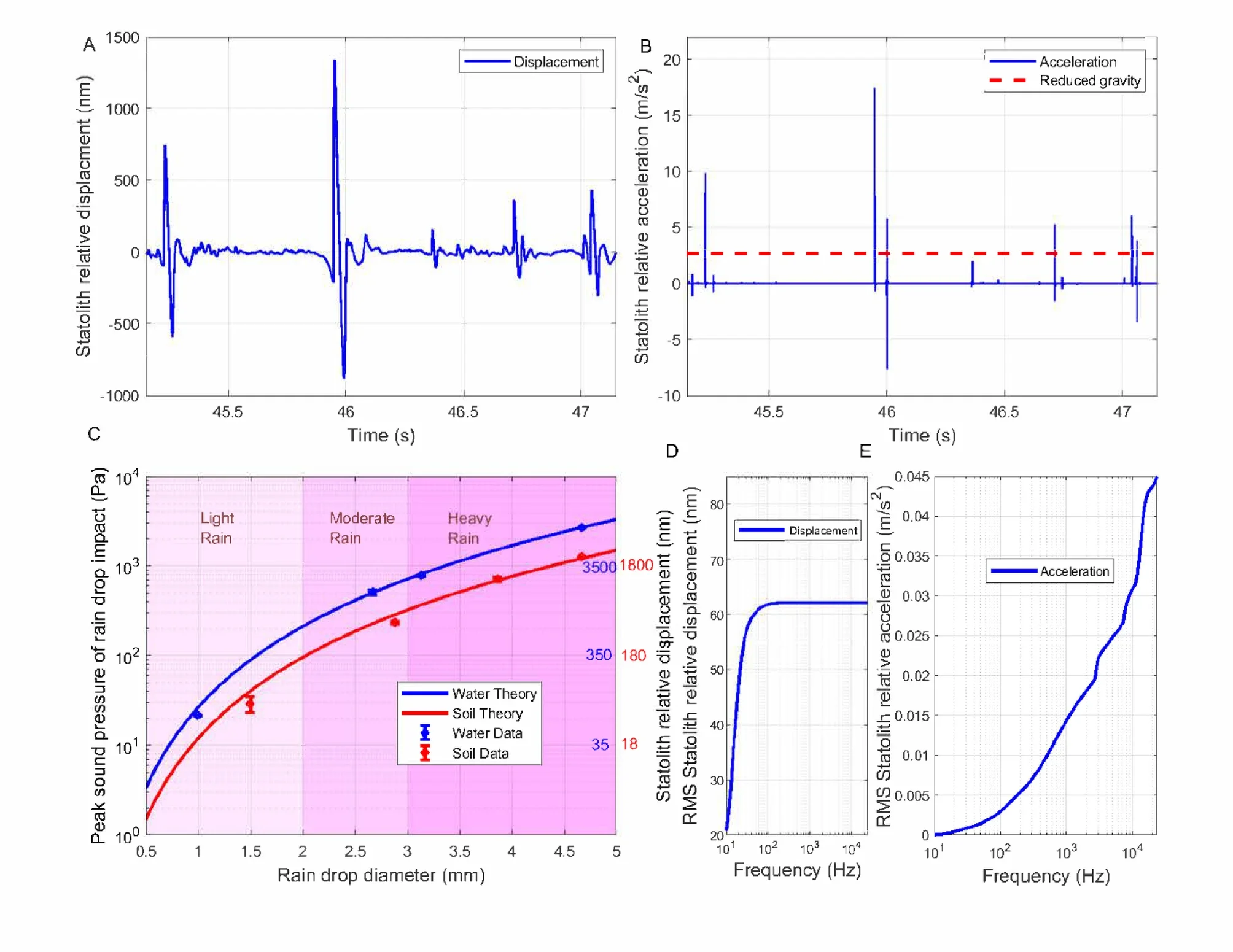 Estimated statolith response to rain sound forcing. 