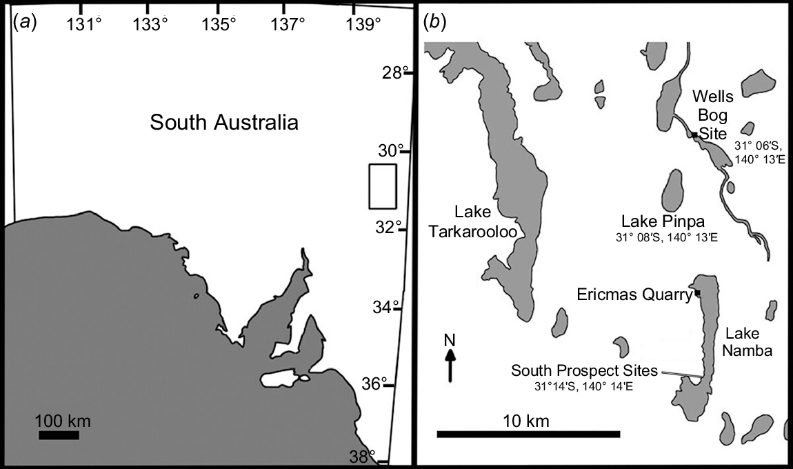 Location of the key sites in the Namba Formation on Frome Downs Station, South Australia. (a) Location of the study area in South Australia shown by the rectangle; (b) The study area and the mentioned sites.