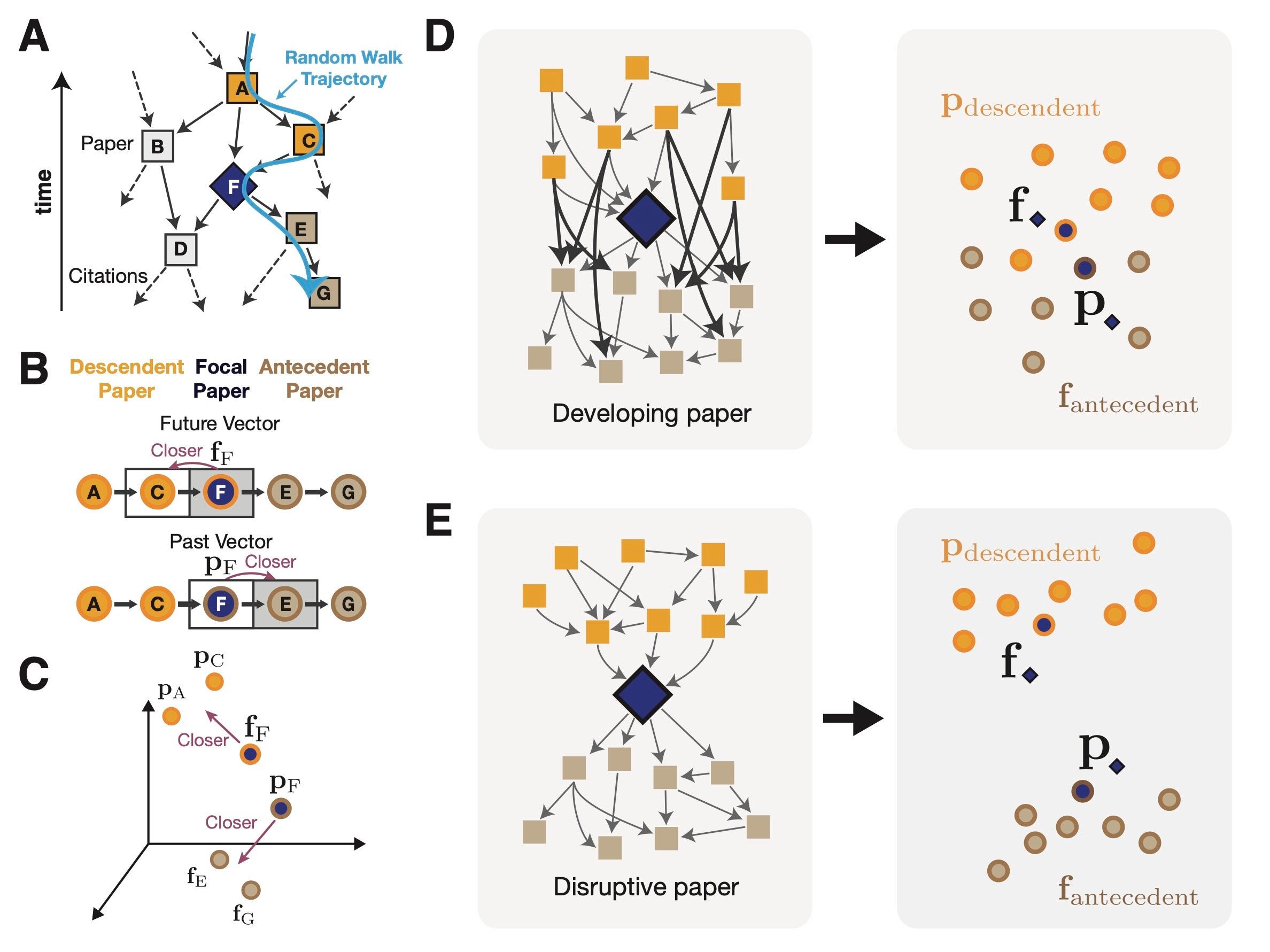 Directional graph embedding captures disruptiveness. Our embedding approach leverages the entire network structure to estimate the disruptiveness of each paper. This approach separately represents the citing and cited features of papers
