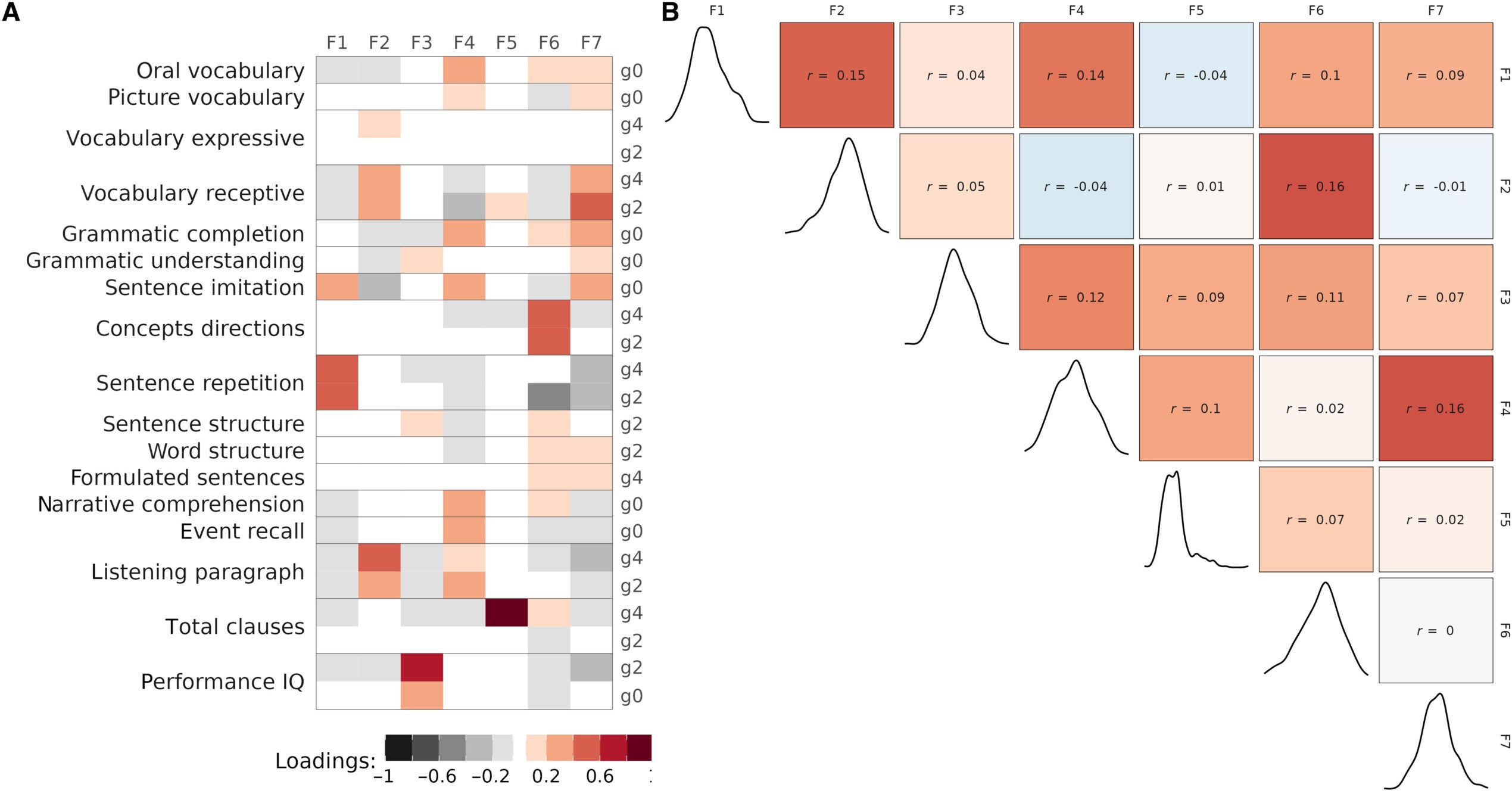 Factor loadings and genetic associations. (A) Loadings of cognitive and language assessments onto the seven language factors. g0 = kindergarten (age 5 to 6 years), g2 = second grade (age 7 to 8 years), and g4 = fourth grade (age 9 to 10 years). (B) Pearson correlations for language factors (upper triangle) and distribution of each factor (diagonal).
