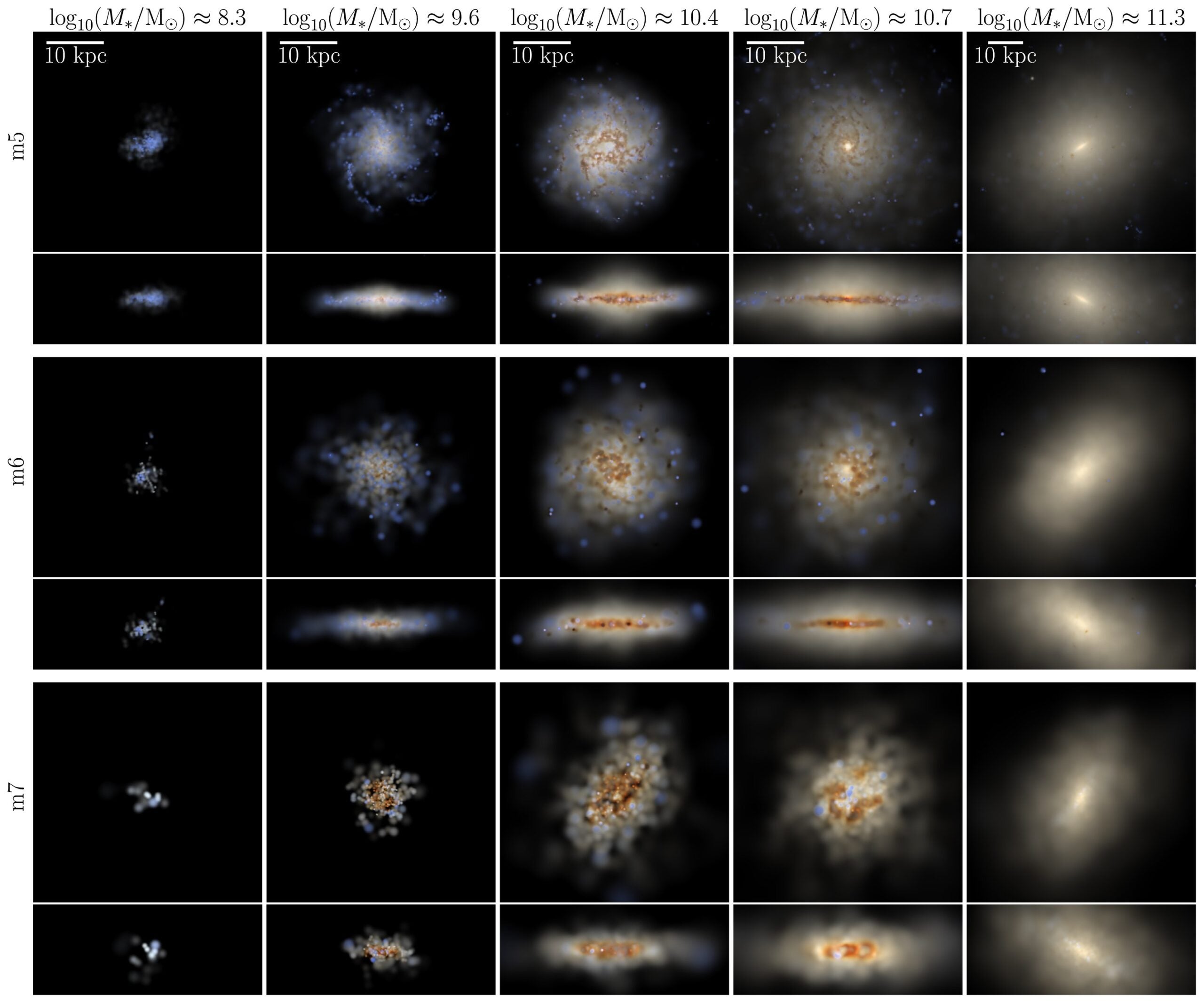 Comparison of galaxy morphologies across different COLIBRE resolutions. Each column shows face-on and edge-on images of the same galaxy in the L025m5 (top), L025m6 (middle), and L025m7 (bottom) simulations at z=0⁠. The different columns show different galaxies with stellar mass increasing from left to right. The stellar masses for m6 resolution are indicated above each column.