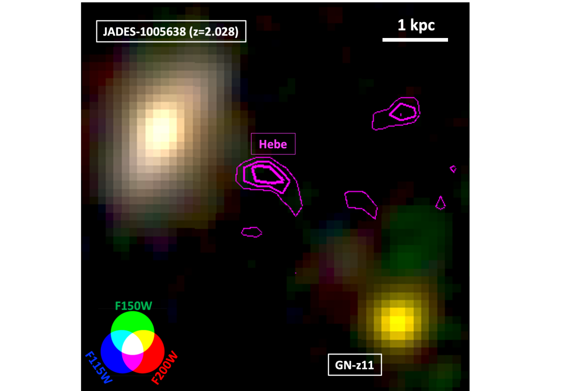 Same map of the HeII emission (contours), overlayed on the RGB image of the field from the NIRCam filters F115W, F150W and F200W, and with a 1.5​″×1.5​″ Field of View, adjusted to show the location of both GN-z11 and the foreground galaxy at z=2.03.