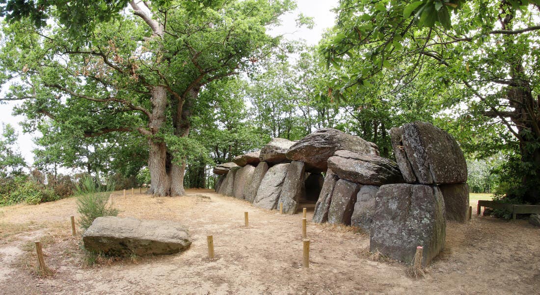 DNA from a Stone Age tomb near Paris points to collapse, migration and a social reset around 3000 BC.