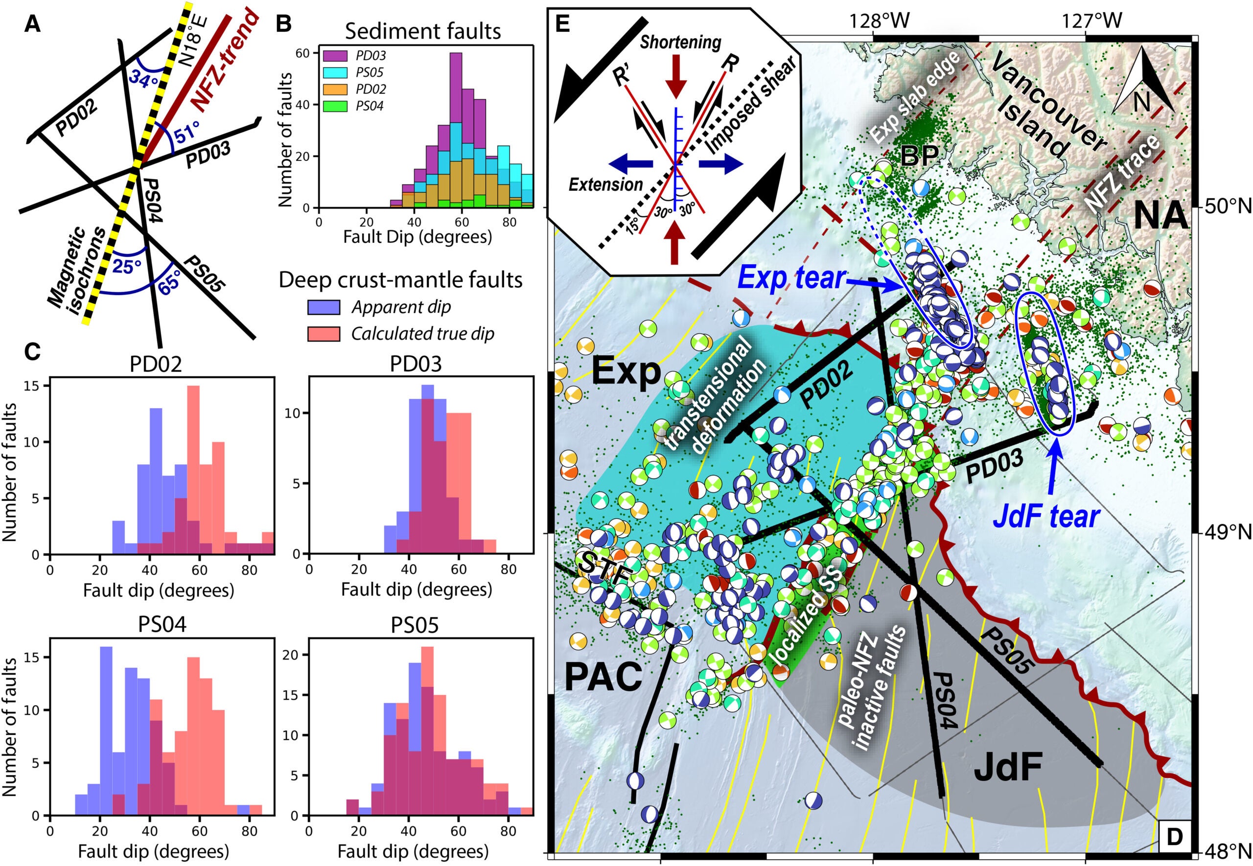 Analysis of paleo- and modern-NFZ faults within the incoming oceanic lithosphere.