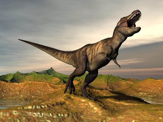 New research suggests T. rex moved on tiptoes, using a bird-like gait that may have boosted speed and stability.