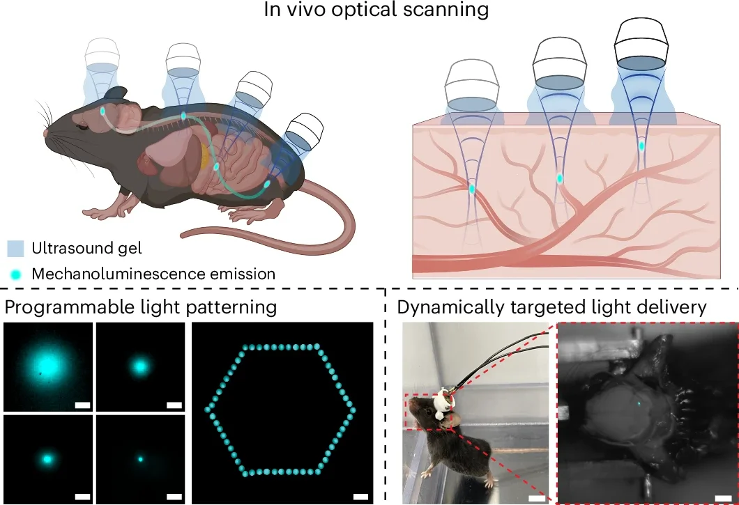 Optical scanning of biological systems via an ultrasound-mediated light source.
