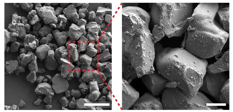 SEM images of bulk mechanoluminescent materials.