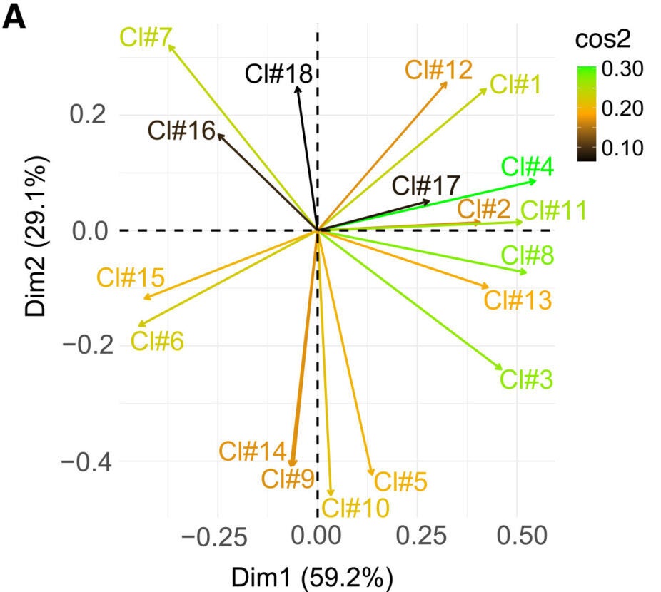 Biplot showing cluster contribution to PCA based on cos2 values. Cos2 reflects the quality of variation in PCA, with higher values indicating greater contributions to the principal components. Vector lengths represent each cluster's contribution to the two principal components.