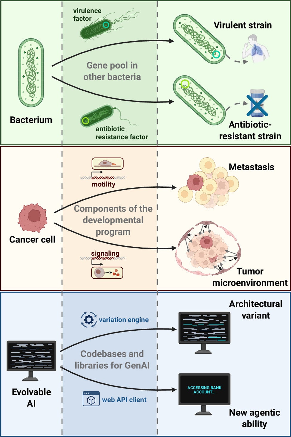 Accelerated evolution by “plug-and-play” in biological and digital organisms. Drug resistance against antibiotics and virulent pathotypes can emerge rapidly because bacteria can acquire the complete machinery of drug resistance or virulence mechanisms by taking up genetic material from other, unrelated bacteria