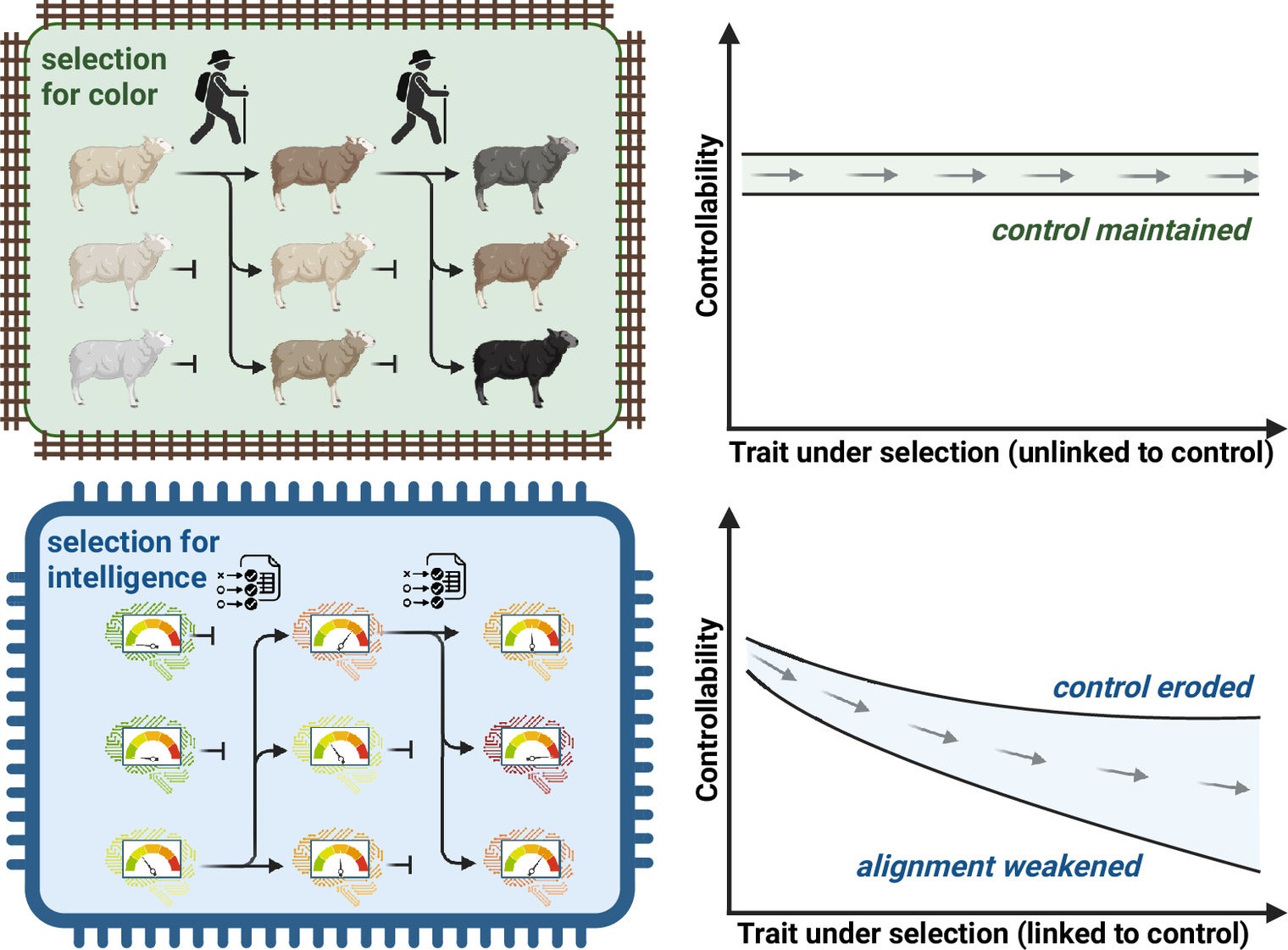 Selection in the breeder scenario on traits unlinked or linked to controllability. Animal (and plant) breeding has selected for traits that do not affect the ability of humans to control the reproduction of the affected organisms; thus, control is maintained (Top). In contrast, eAI will likely be selected for increasing cognitive capacity (denoted by “benchmark” indicators in the figure), which may erode control and weaken the alignment (Bottom).