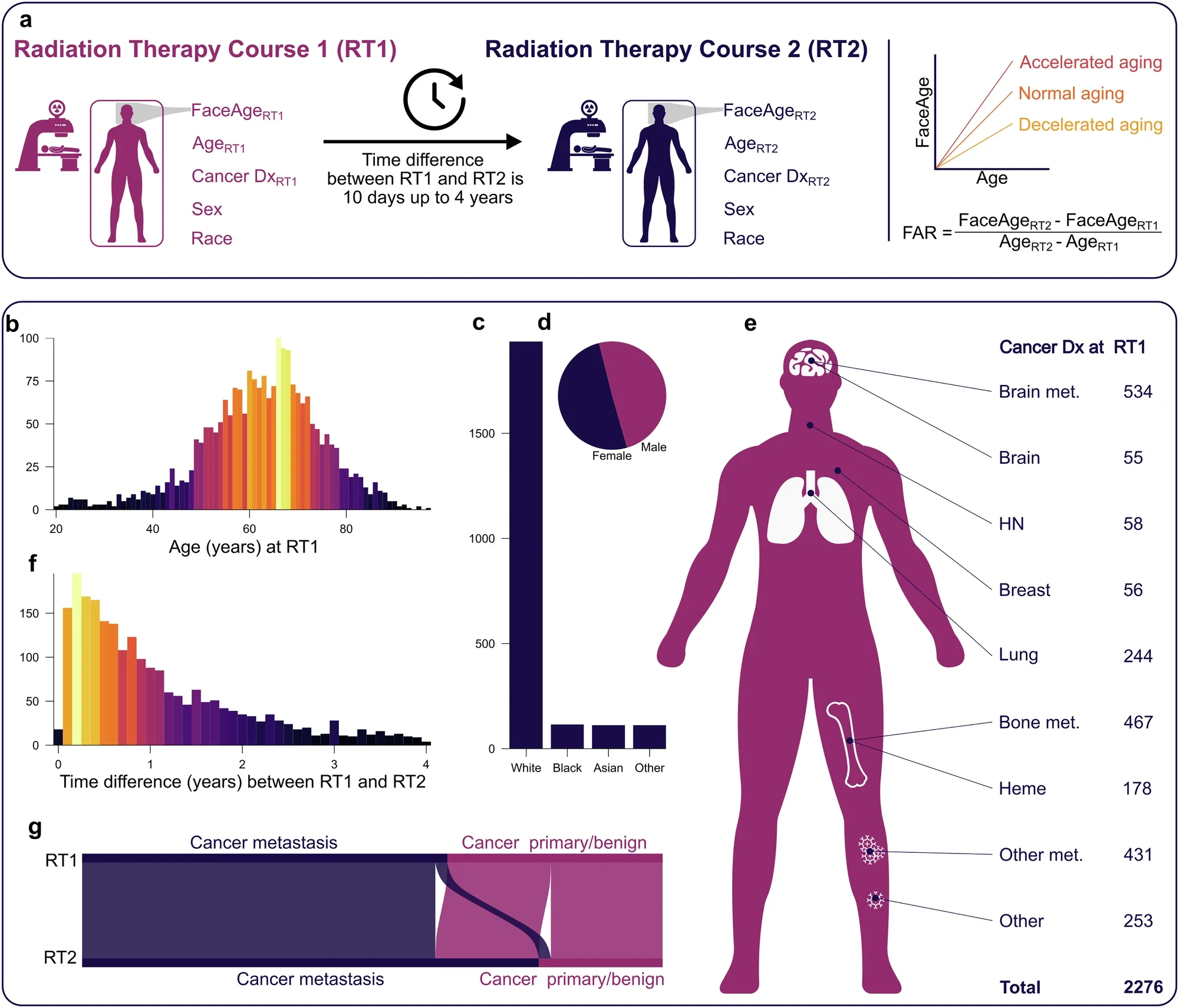 Study design and cohort characteristics.