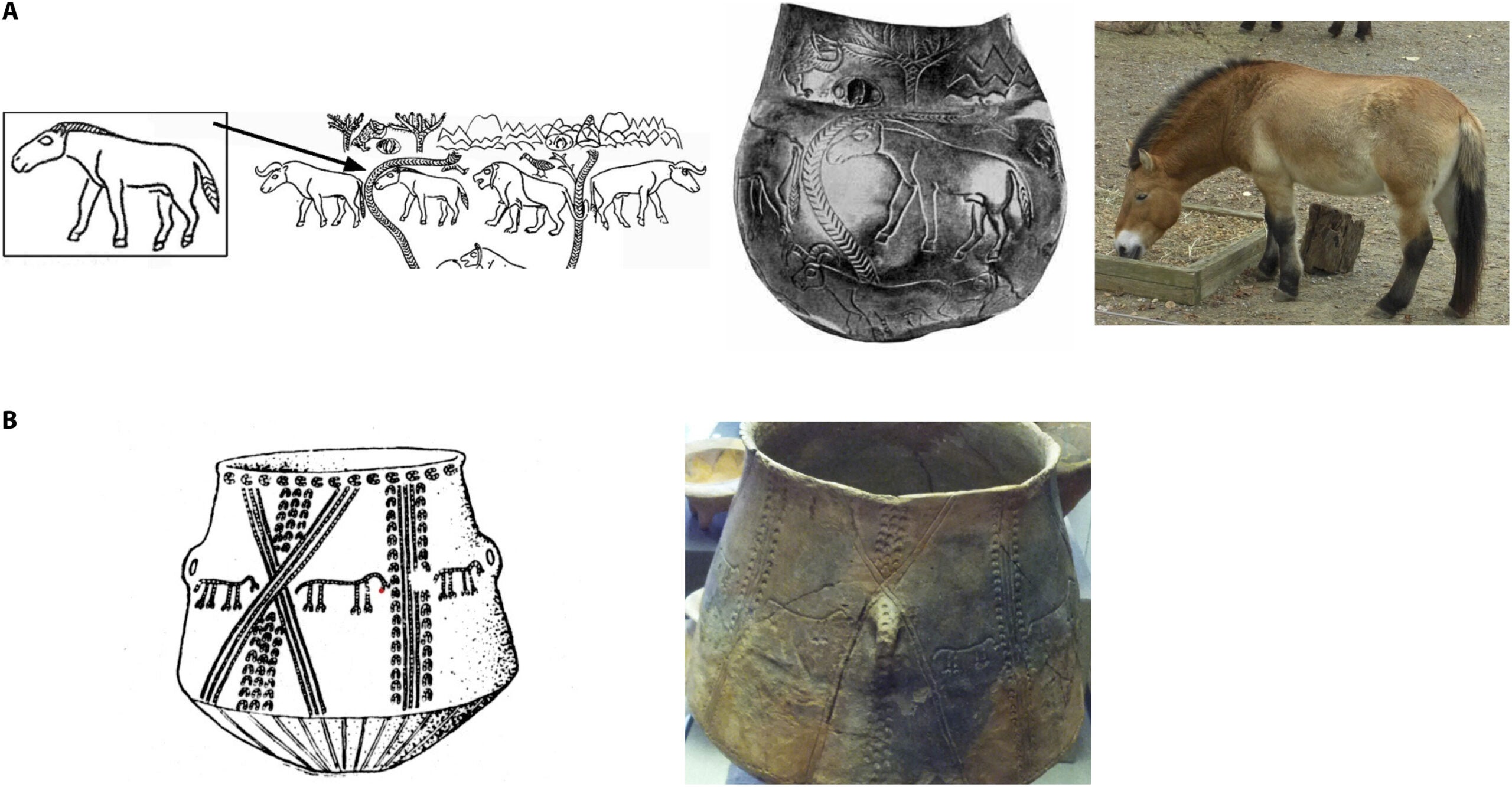 Early horse representations in the steppes.