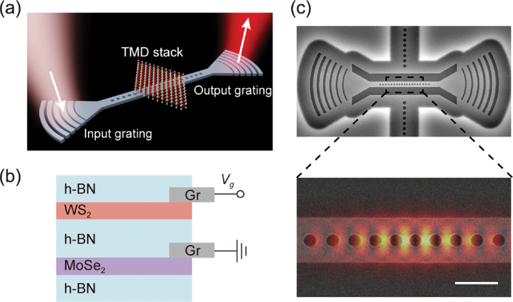 2D nanocavity exciton polaritons. (a) Schematic of the coupled TMD-PhC nanocavity. (b) Schematic of the gate-tunable TMD stack. (c) Scanning electron microscope image of the suspended Si3N4 nanobeam cavity, with the inset showing the simulated cavity mode profile.