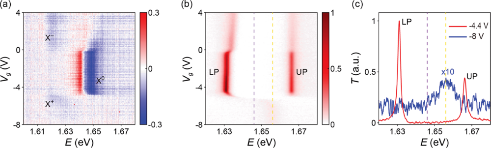Linear characterization of the coupled TMD-PhC nanocavity. 