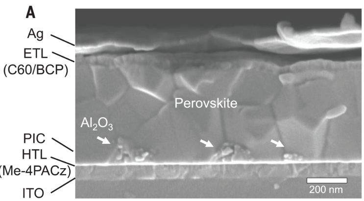  Cross-sectional SEM image of the PIC device. The HTL is Me-4PACz coated with PIC (area coverage ~25%). Arrows indicate the Al2O3 islands of PIC.