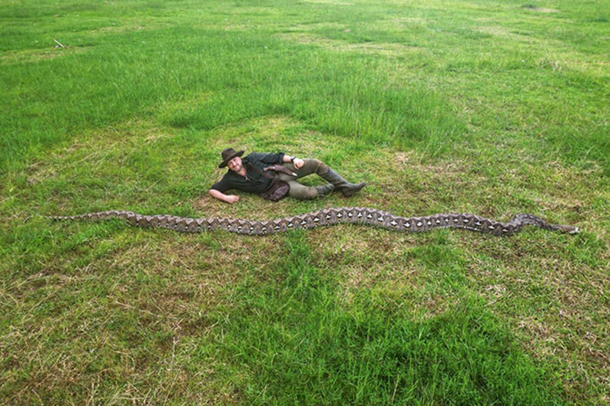 The snake measures at least 7.22m (23ft 8 in)