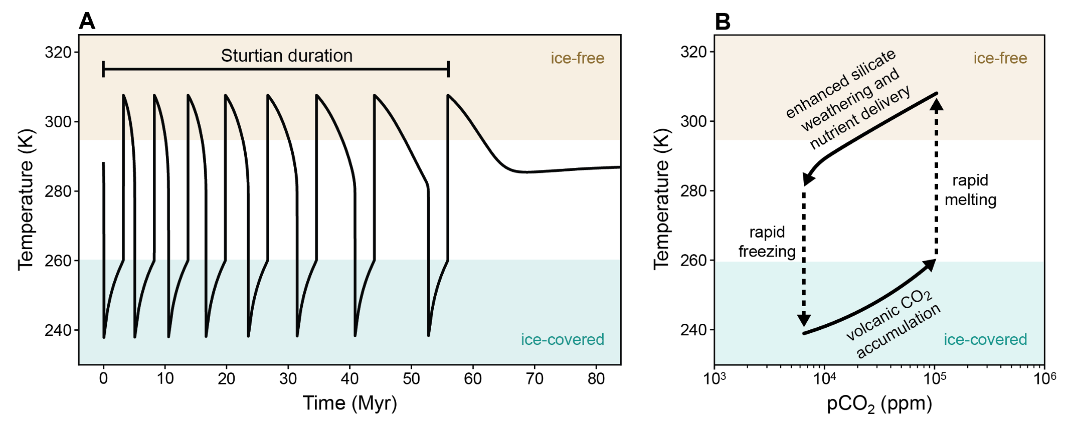 The limit cycle scenario. A) Modeled equilibrium surface temperature under a persistent carbon cycle imbalance, showing a series of self-terminating Snowball events alternating with hot interglacials. B) Climate hysteresis loop showing the trajectory of temperature as a function of atmospheric pCO2.