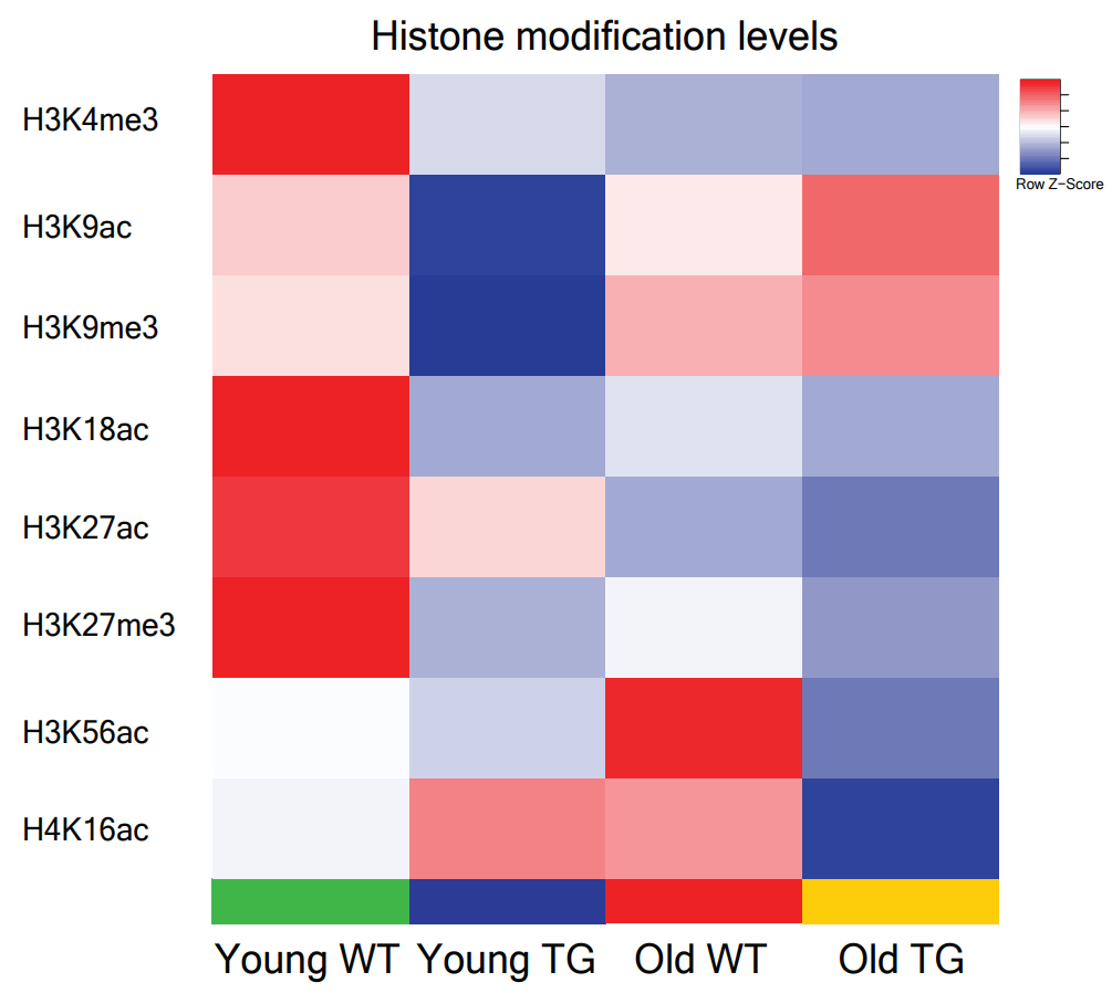 Heatmap of various histone modification
levels in young and old, WT and SIRT6 TG livers, as identified using WB.