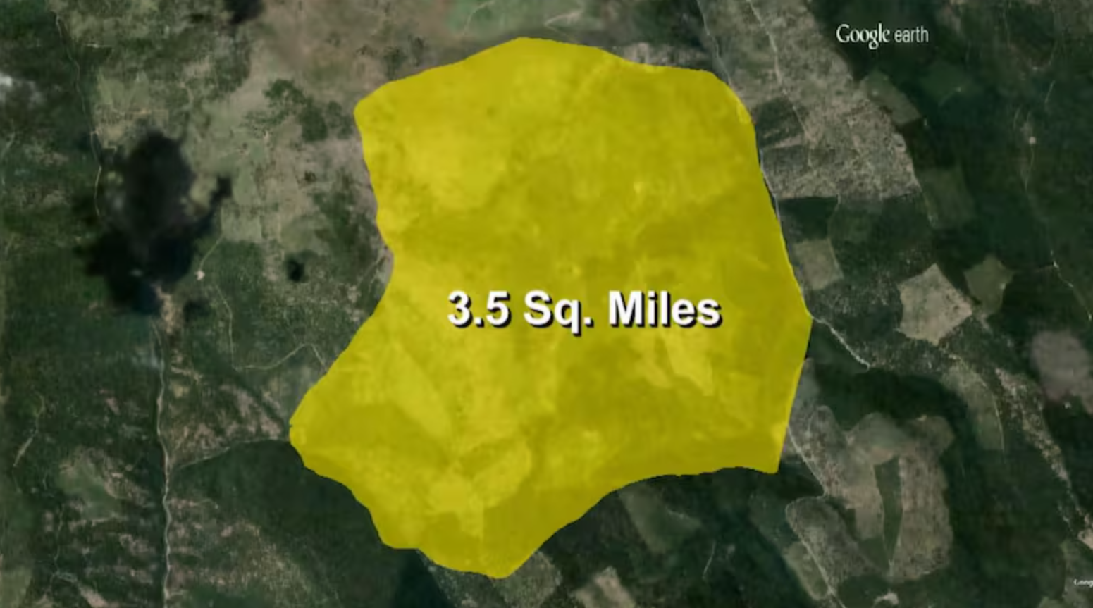Scientists say their DNA tests prove that a single Armillaria organism covers nearly 3 1/2 square miles under the Malheur National Forest. 