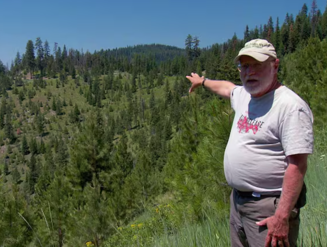 Forest ranger Greg Whipple first spotted the fungus in 1988, estimating it spread across 400 acres.