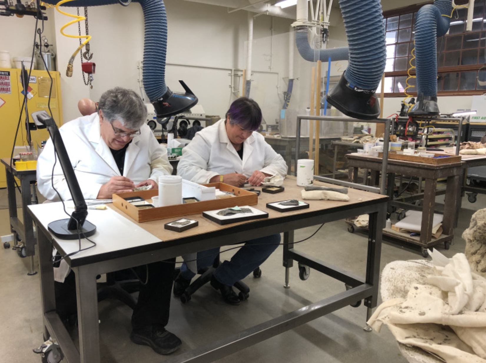 Dinosaur Institute volunteers Richard Hayes and Anne Baker-Hayes preparing Hayden Quarry Ghost Ranch fossils in NHMLAC’s Level 4 Fossil Lab. 