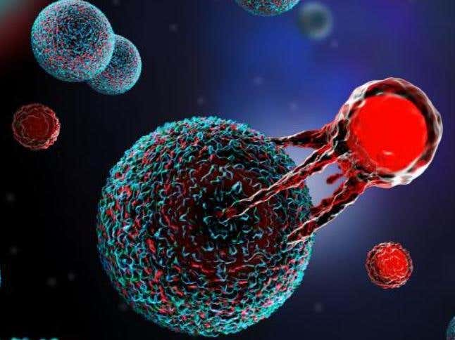 Stem-like CAR T cells produced strong low-dose responses and less severe toxicity in post-transplant blood cancers.