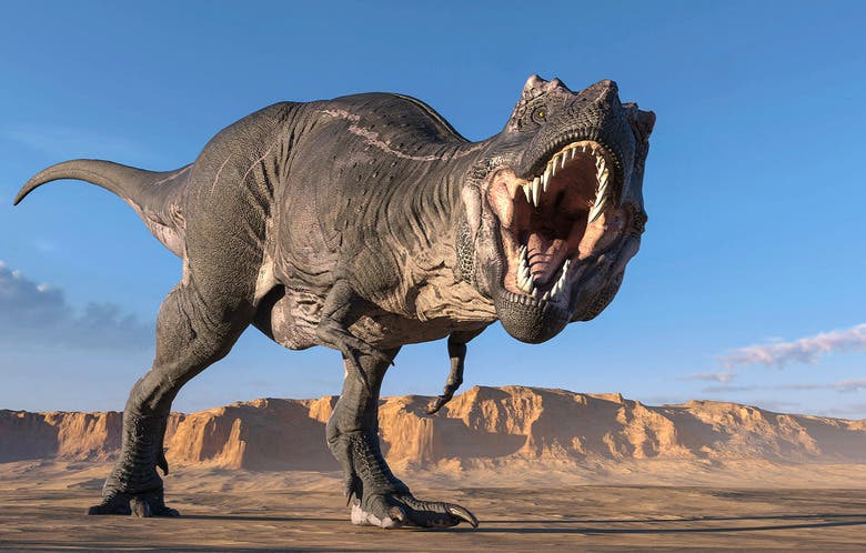 A new study argues T. rex evolved short arms to avoid serious injuries during violent group feeding on carcasses.