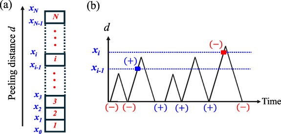 Minimal model for the tape’s memory behavior.