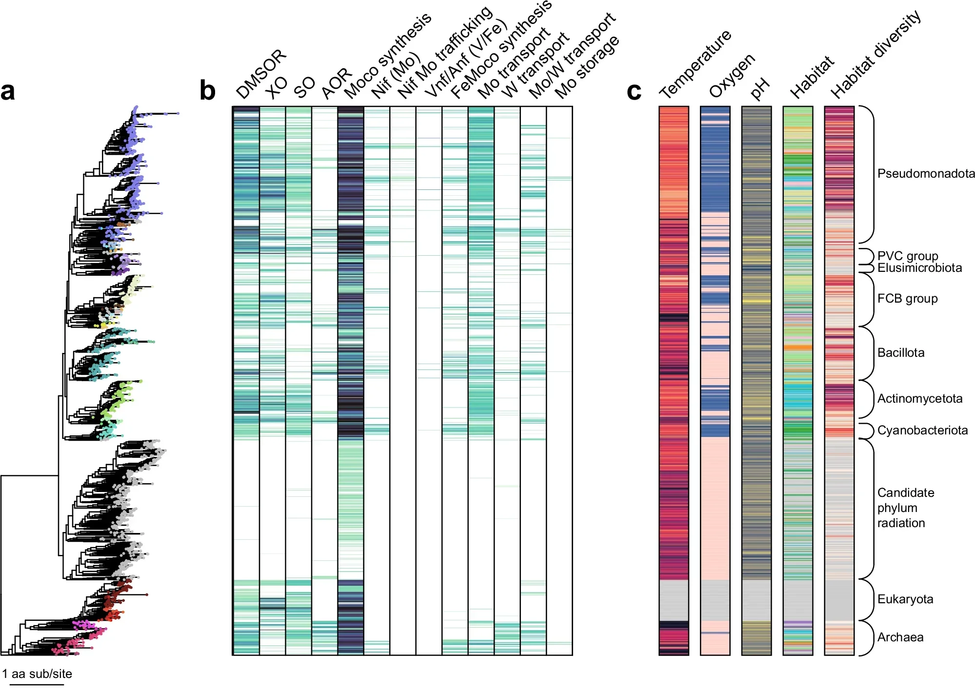 Phylogenetic distribution of Mo-related genes and their associations with host ecological attributes. Here, we describe Mo-related genes as those involved in all aspects of biological Mo-usage, including transport, trafficking, storage, cofactor synthesis, and Mo-incorporating enzymes.